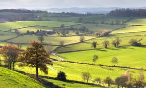 Middle England by Jonathan Coe — giving voice to the disgruntled