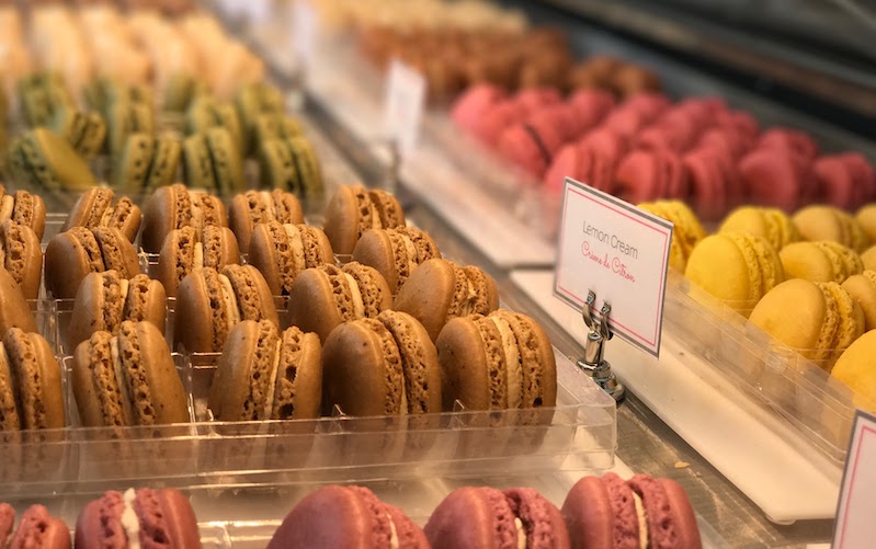 Mrs March by Virginia Feito — that way madness lies