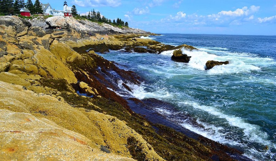 Tell Me Everything by Elizabeth Strout — Stories We Tell