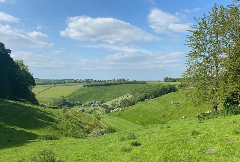 Anderby Wold by Winfred Holtby — clash of tradition and change